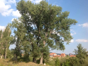 River_park_mitrovica_deterioration_02