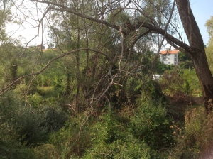 River_park_mitrovica_deterioration_03