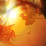 colori_autunno_04