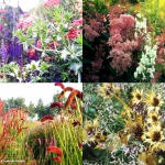 giardino_parco_fiori_01