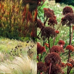 giardino_parco_fiori_02