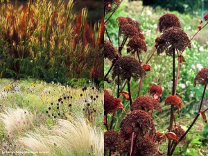 giardino_parco_fiori_02
