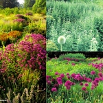 giardino_parco_fiori_03
