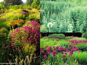 giardino_parco_fiori_03