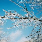 parchi_moderni_33