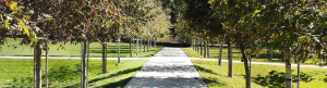 parchi_moderni_slider_10