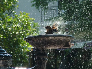 parco_fluviale_di_mitrovica_la_felicita_non_ha_prezzo