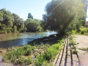 river_park_22