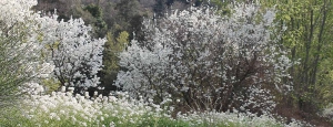 eco_museo_tre_valli_biancospino_slider_01