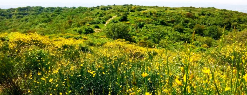 eco_museo_tre_valli_ginestre_slider_01