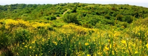eco_museo_tre_valli_ginestre_slider_01