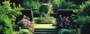 garden_design_phronesis_slide_05